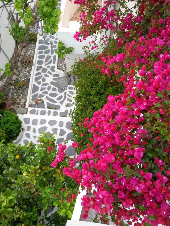 Studio In Garden Poros Town Ngoại thất bức ảnh