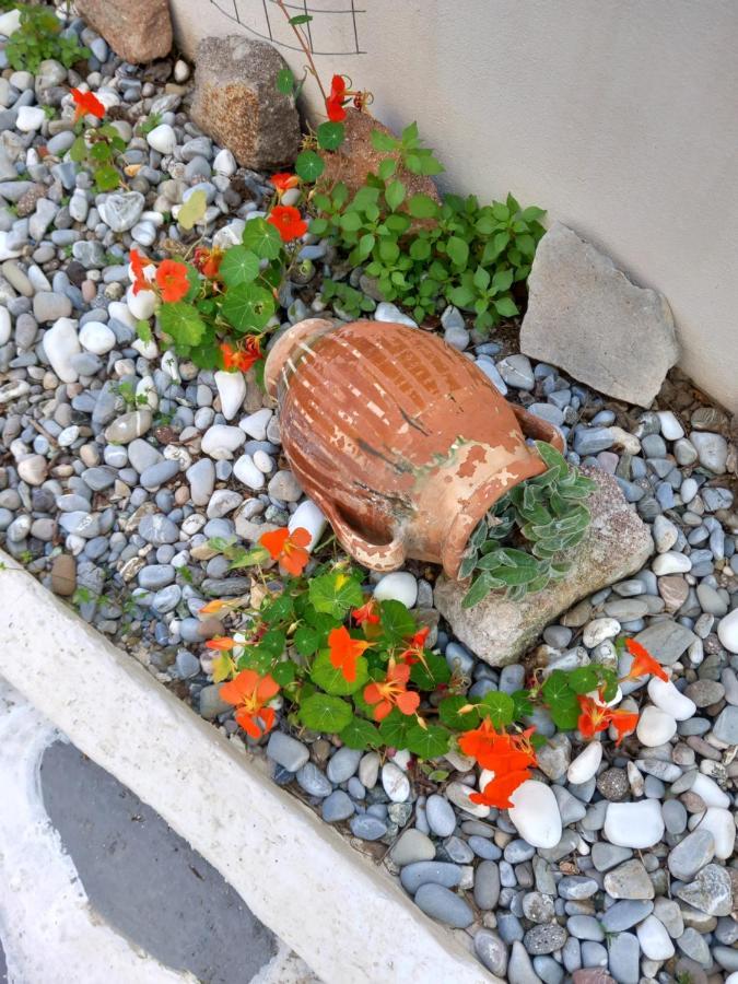 Studio In Garden Poros Town Ngoại thất bức ảnh